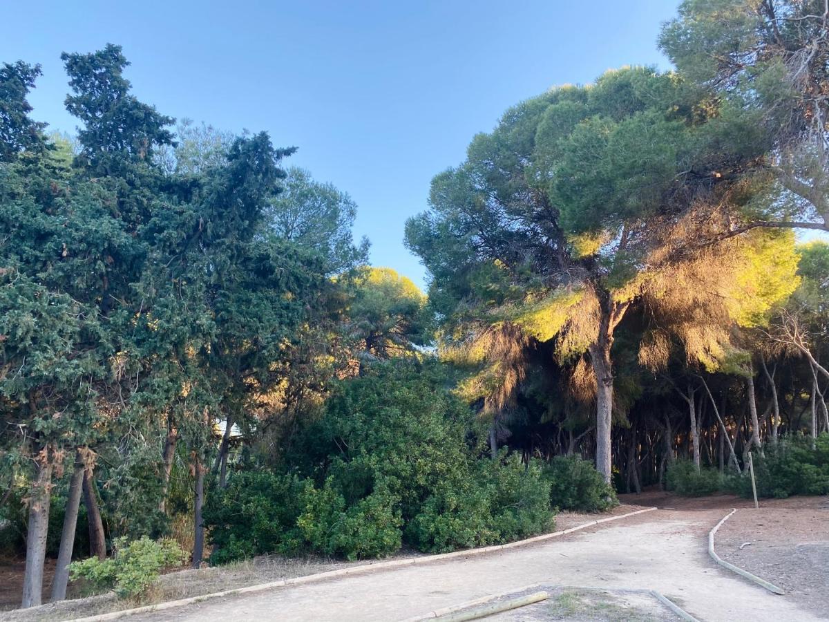 Apartamento Hermosa Glea Campoamor Bagian luar foto