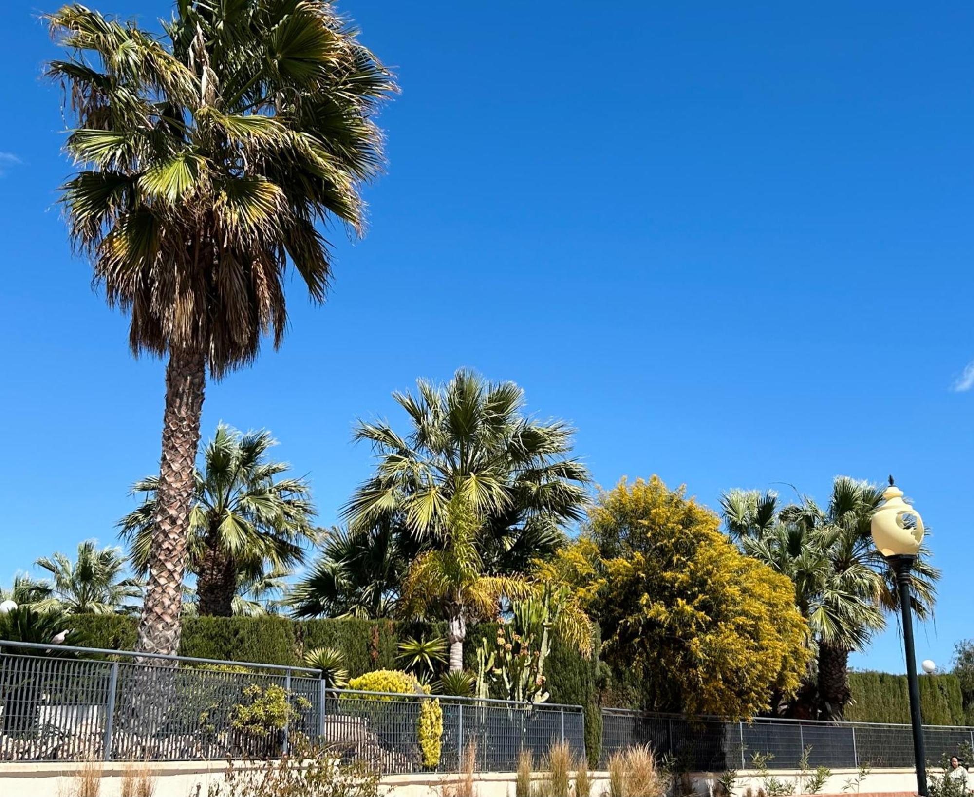 Apartamento Hermosa Glea Campoamor Bagian luar foto